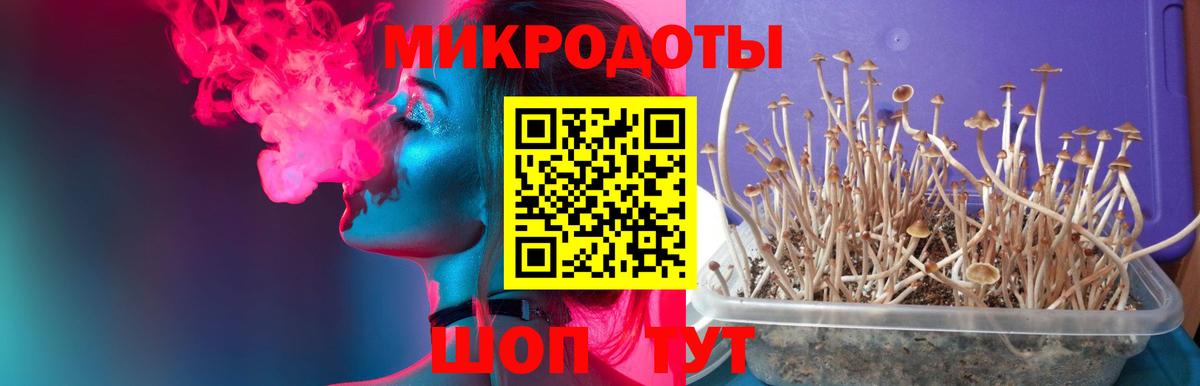 Псилоцибиновые грибы Magic Shrooms Гулькевичи