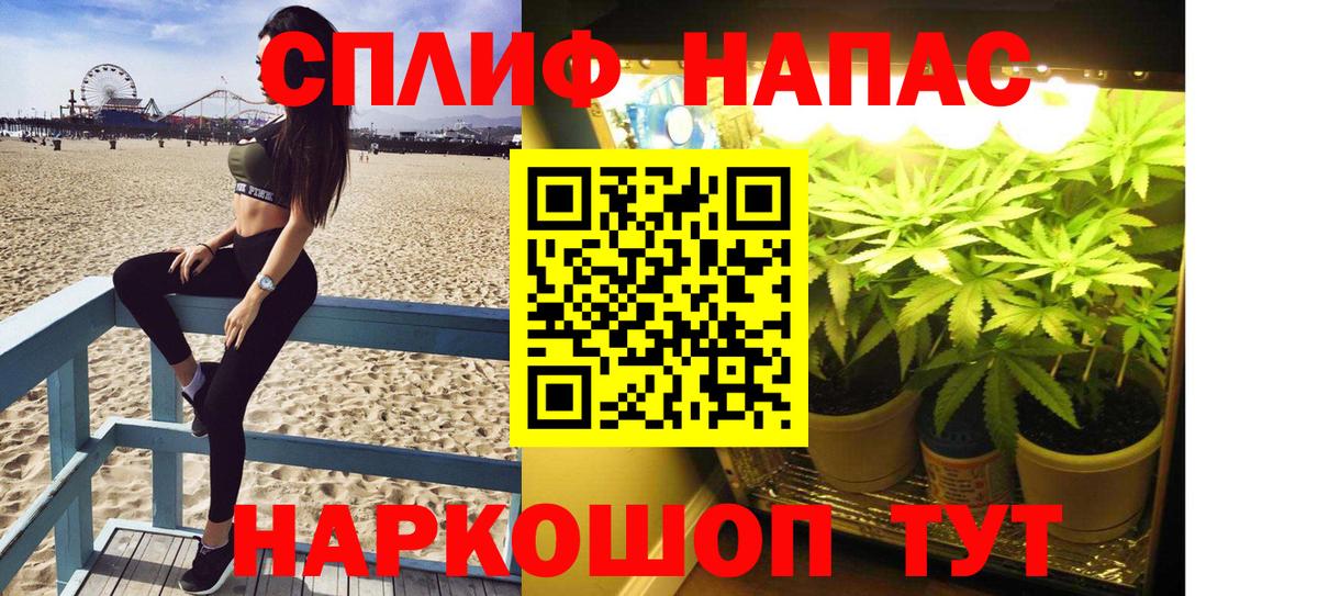Шишки марихуана план  Каннабис Ganja  Каннабис планчик  Гулькевичи  Вход с VPN 